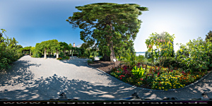 Mainau 2015
                                                  Rosengarten Arkaden
                                                  Ost