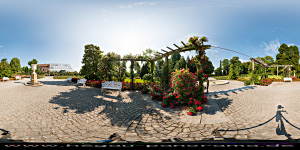 Mainau 2015 im
                                                  Rosengarten