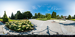 Mainau 2015 im
                                                  Rosengarten