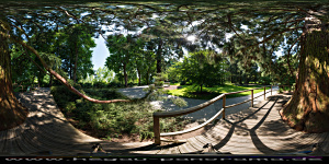 Mainau
                                                  2015 im Arboretum