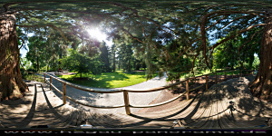 Mainau
                                                  2015 im Arboretum