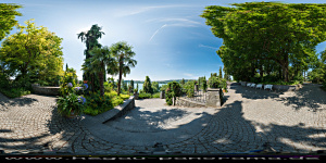 Mainau 2015 nahe
                                                  der
                                                  Mediterran-Terrasse