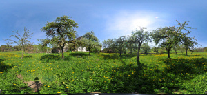 Kugelpanorama
                                                    Scheinbuch bei
                                                    �berlingen Hochstamm
                                                    Apfelplantage