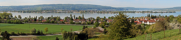 Die Insel Reichenau im
Untersee des Bodensee Die Insel Reichenau im
Untersee des Bodensee