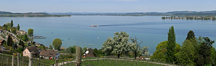 Blick vom Schloss
Arenenberg auf den Untersee Blick vom Schloss
Arenenberg auf den Untersee