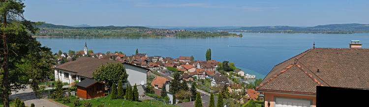 Blick von Berlingen auf
Höri und Untersee Blick von Berlingen auf
Höri und Untersee