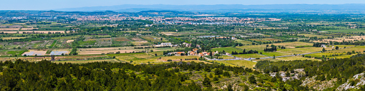Auf
                                          dem Montagne de la Clape - ein
                                          H�henzug zwischen Gruissan und
                                          Valras-Plage, Roussillon,
                                          S�dfrankreich
