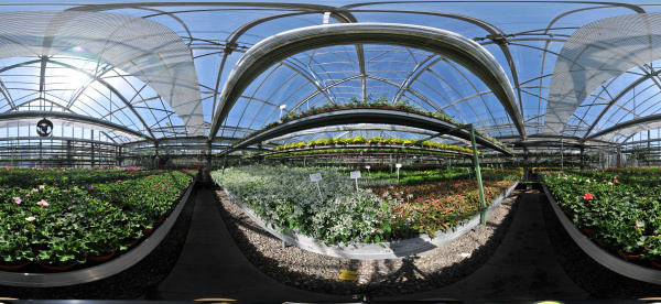 Kugelpanorama
                                            Gew�chshaus der
                                            Stadtg�rtnerei Radolfzell