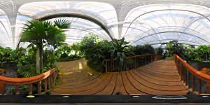 Mainau 2008 im
                                                  Schmetterlingshaus