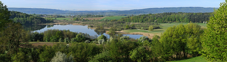 Naturschutzgebiet
Mindelsee bei Radolfzell am
Bodensee Naturschutzgebiet
Mindelsee bei Radolfzell am
Bodensee