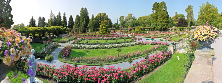 Italienischer
Rosengarten auf der
Blumeninsel Mainau im
Bodensee Italienischer Rosengarten
auf der Blumeninsel Mainau im
Bodensee